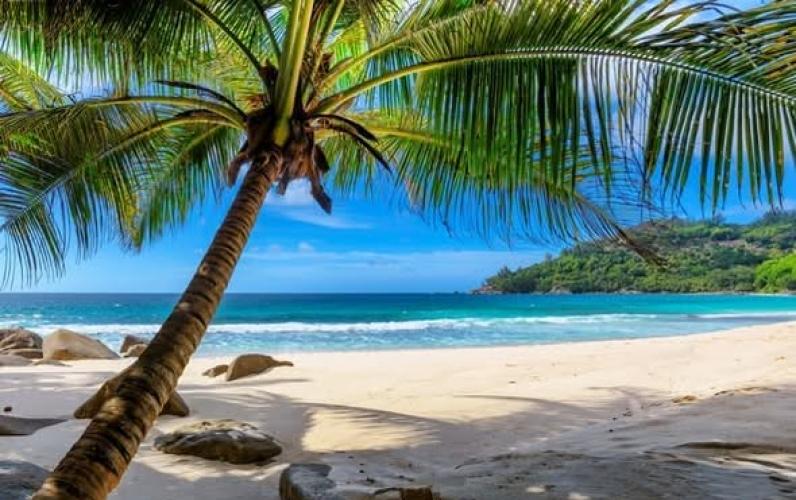 Celebrate the 2029 New Year in the Caribbean